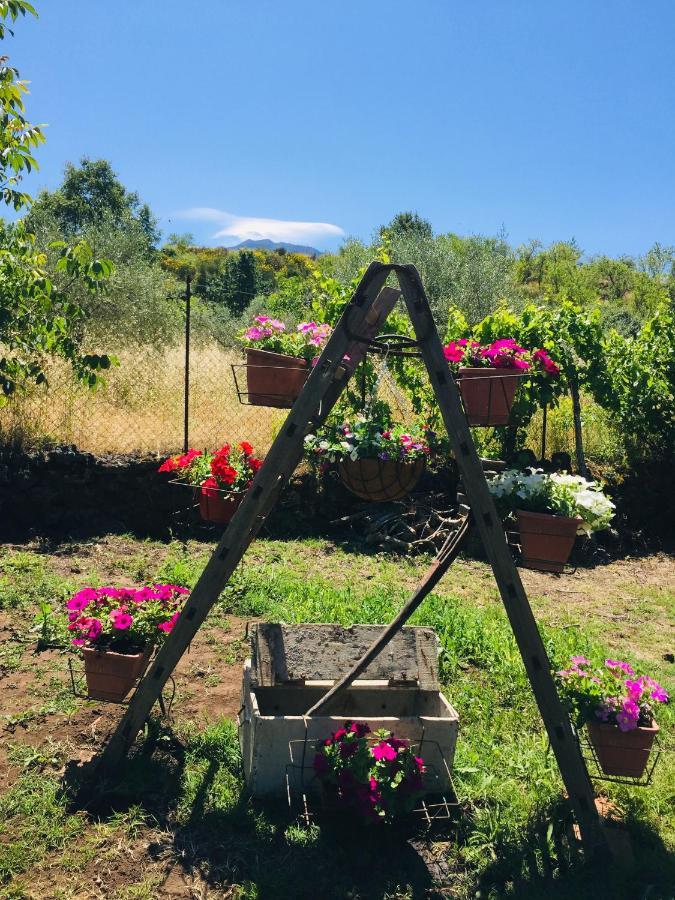 Casa Etna Holiday home Bronte