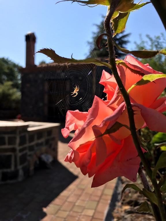 Casa Etna Holiday home Bronte