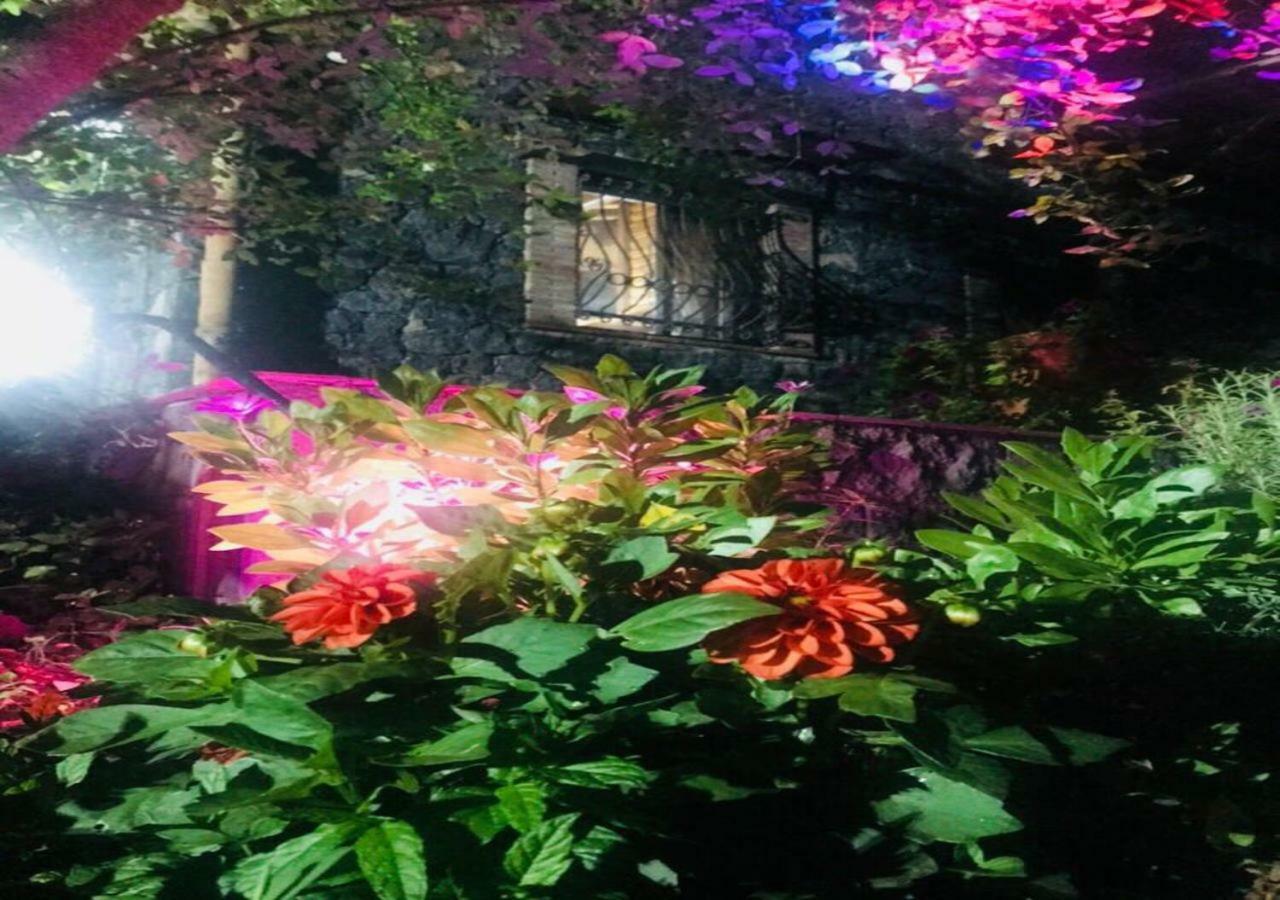 Casa Etna * Bronte